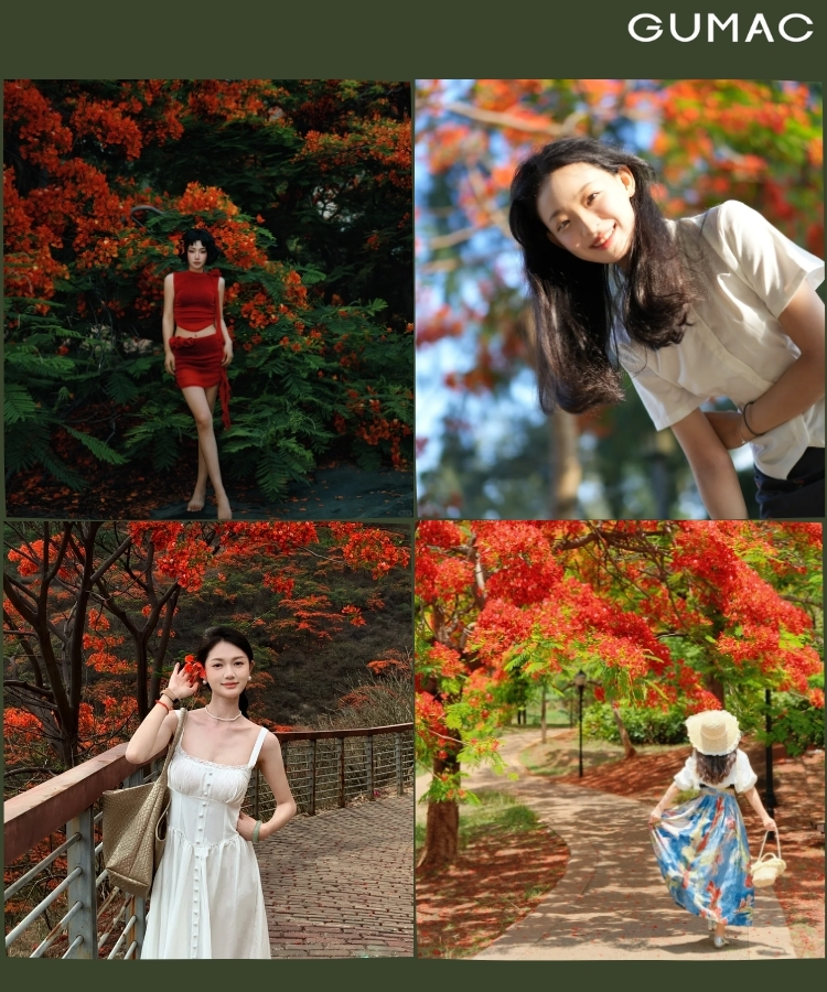 lua chon concept chup anh voi hoa phuong