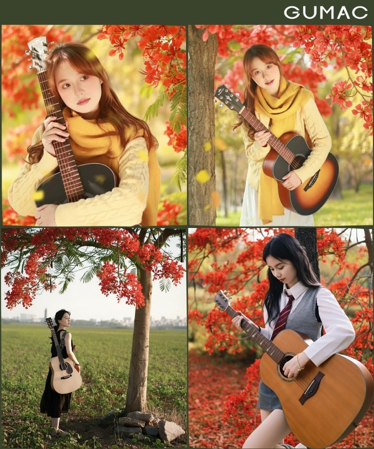 tao dang cung cay dan ghita va hoa phuong