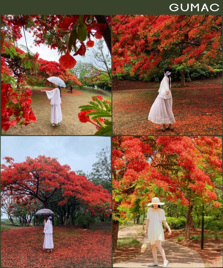 tao dang giau mat cung hoa phuong