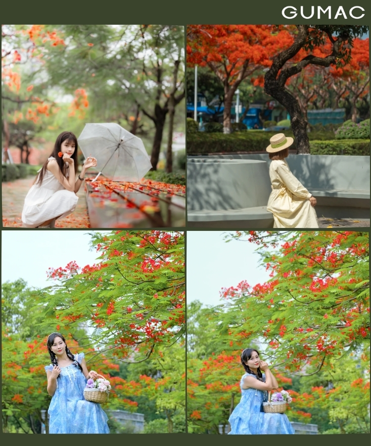 tao dang ngoi duoi tan cay phuong