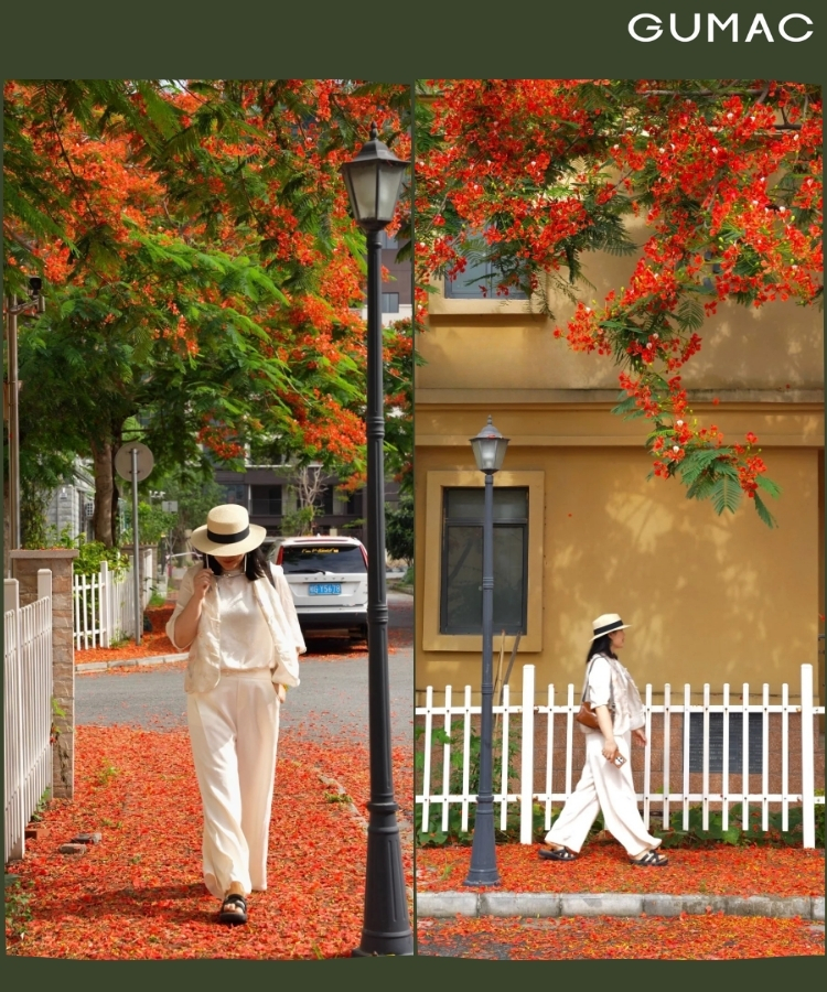 tha dang tren duong day hoa phuong roi