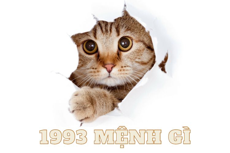 1963 mệnh gì 1963 mệnh gì