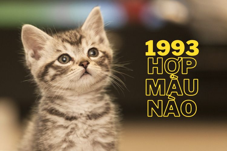 1963 hợp màu gì 1963 hợp màu gì