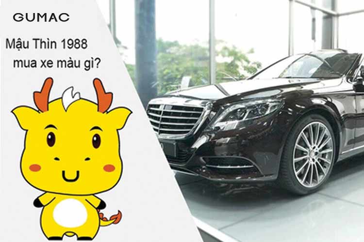 Tuổi Mậu Thìn 1988 hợp màu xe gì