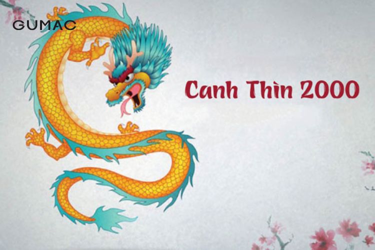 2000 menh gi hop mau gi