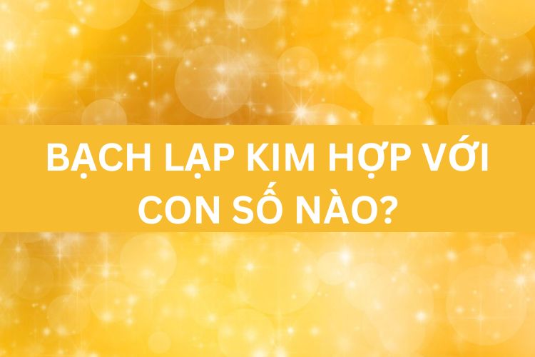 Con số may mắn với Bạch Lạp Kim