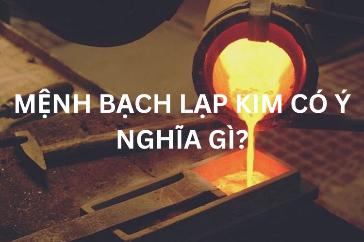 Bạch Lạp Lim mang ý nghĩa như thế nào