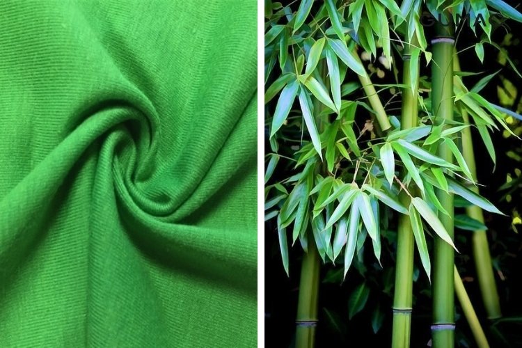 Vải bamboo