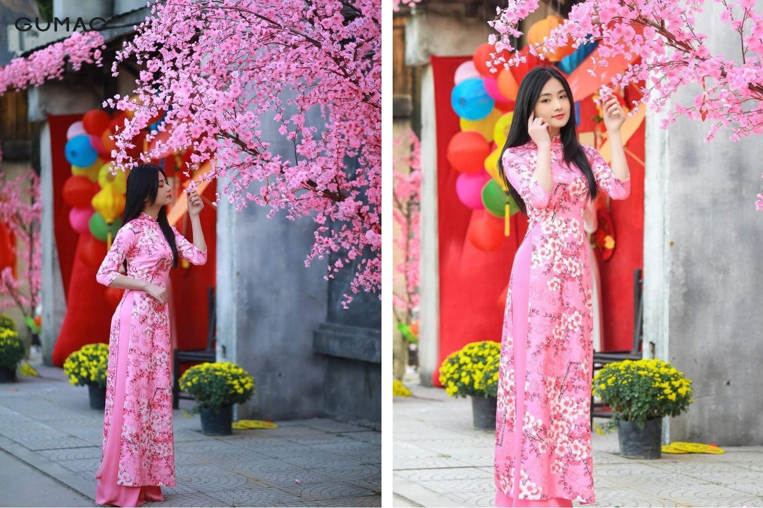 tao dang chup anh tet voi hoa dao