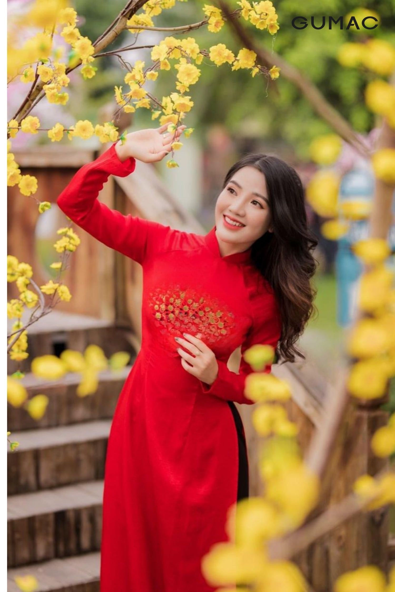 tao dang chup anh tet voi hoa mai