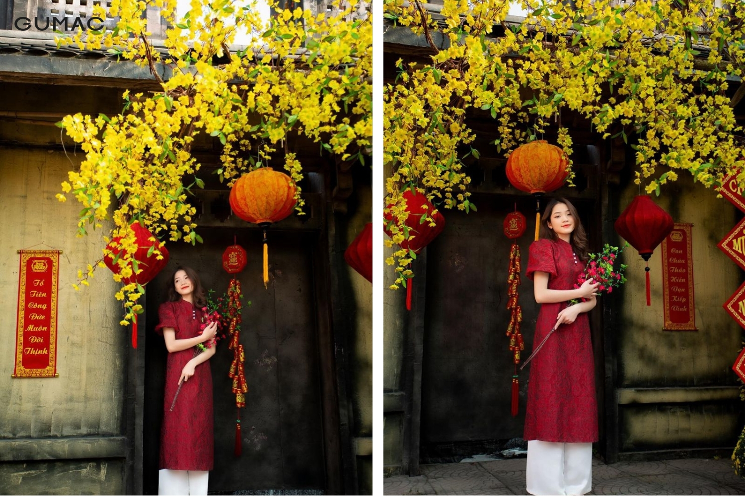 tao dang chup anh tet voi hoa mai truoc nha