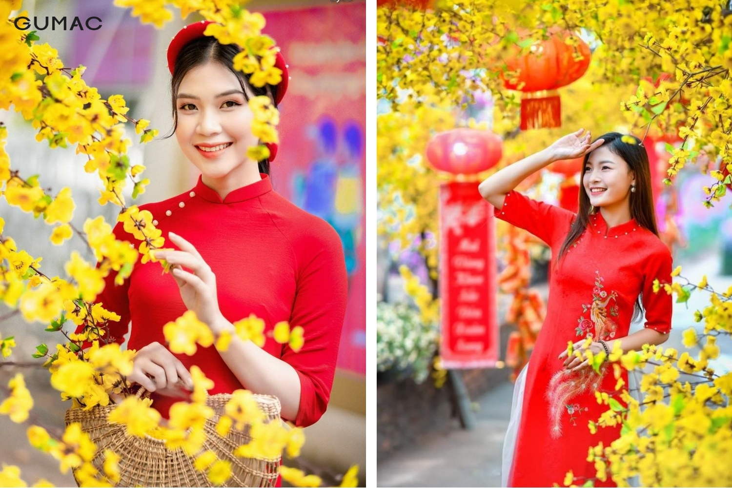 tao dang chup anh cung hoa mai tet dep