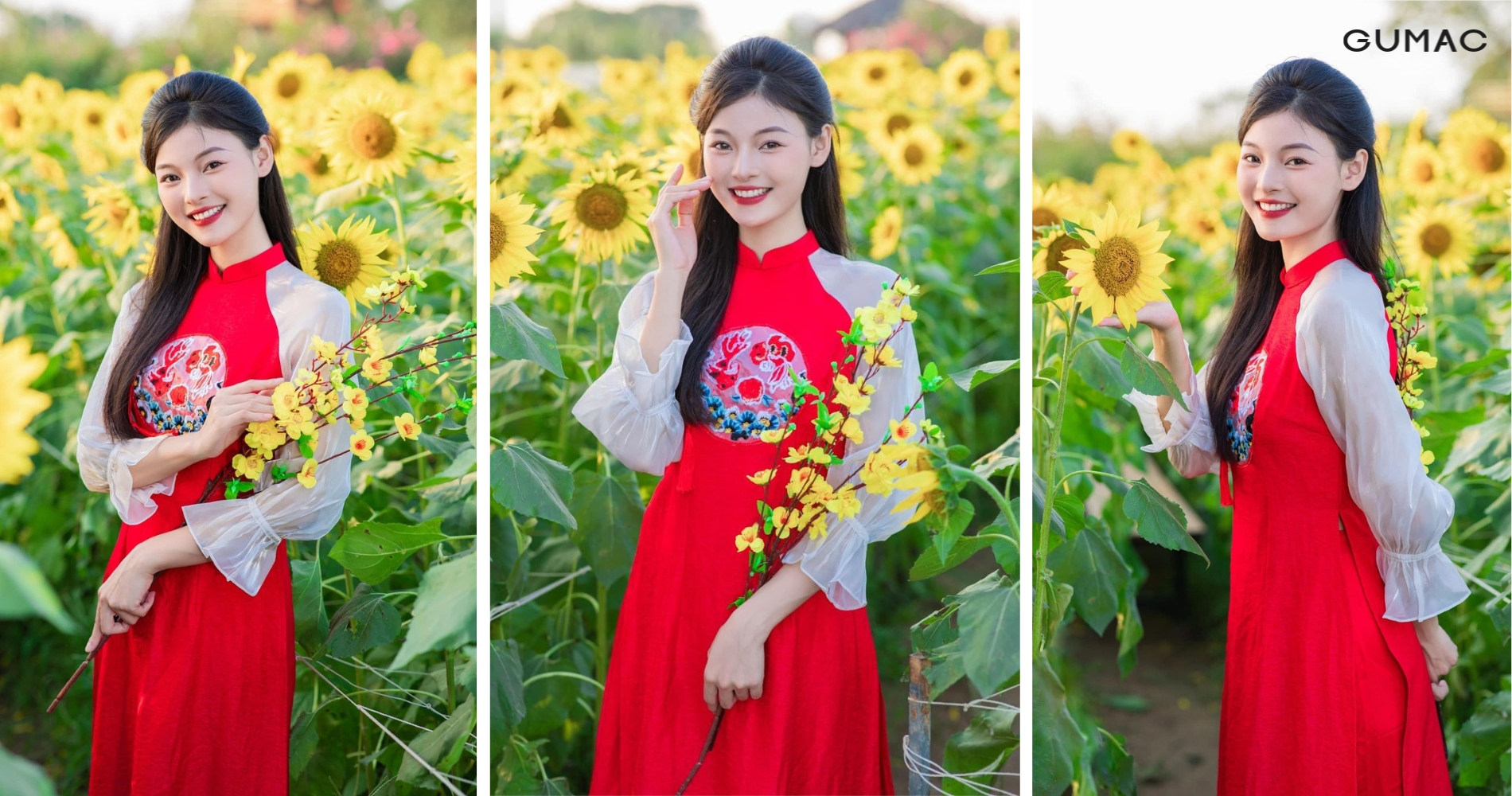 tao dang chup anh tet o canh dong hoa huong duong