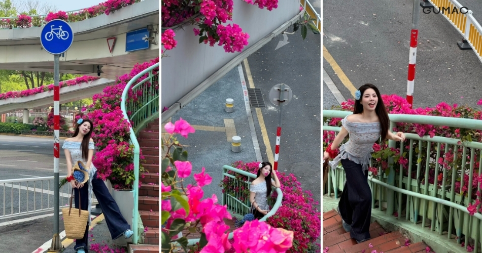 mot so luu y khi chup anh cung hoa giay