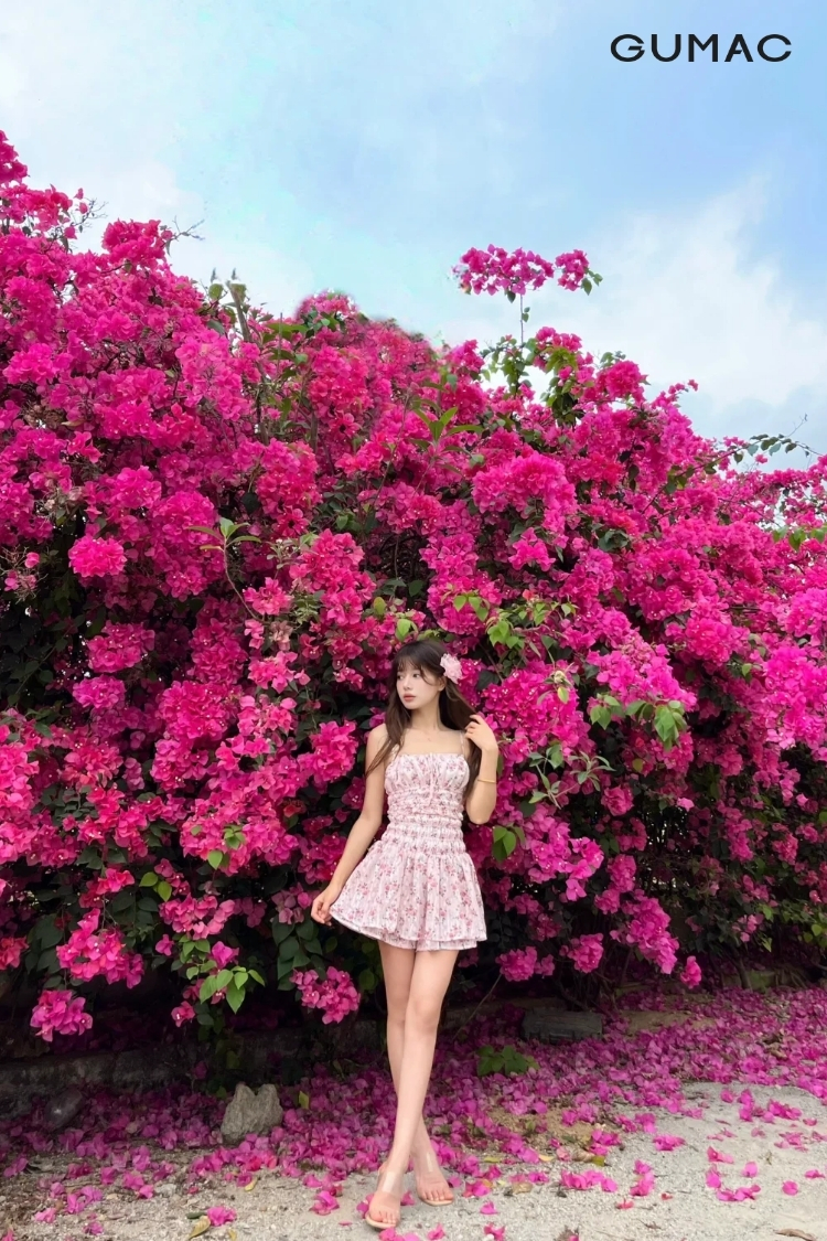 tao dang chup anh hoa giay dung cheo chan dep