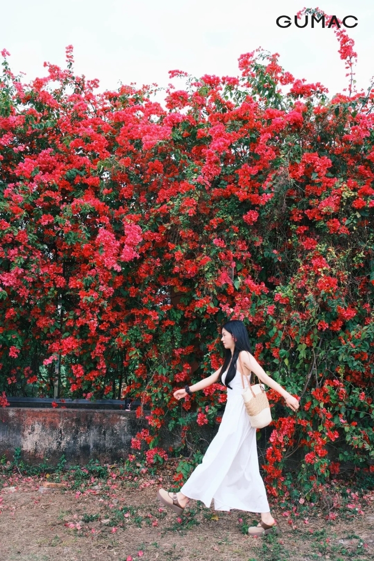 chup anh hoa giay kieu dang buoc đi