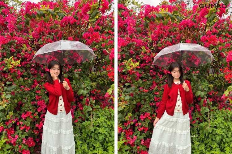 tao dang chup anh hoa giay cung o