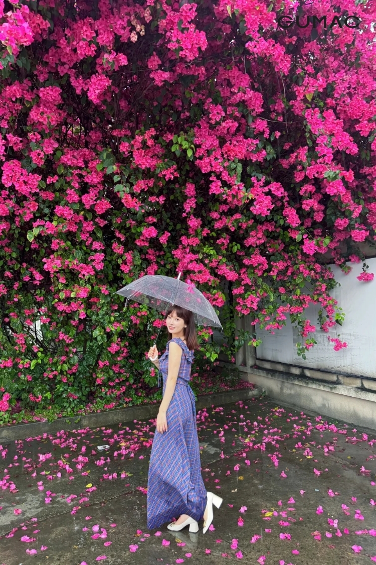 tao dang chup anh voi hoa giay dep cung o