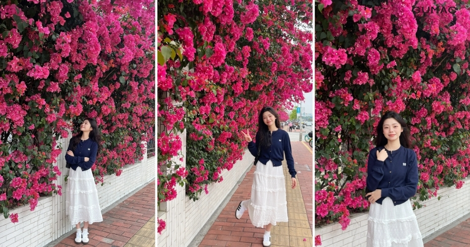 tao dang chup anh cung hoa giay dep o tphcm