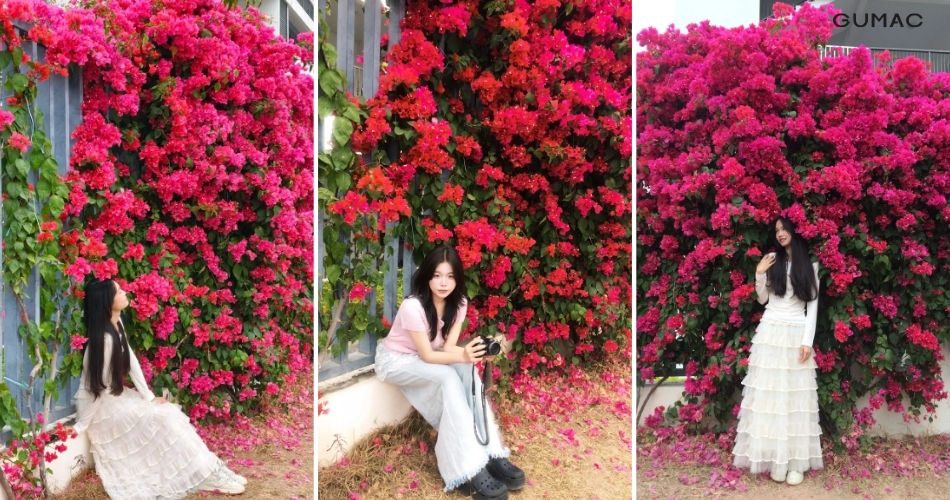 nhung con duong tao dang chup anh cung hoa giay dep