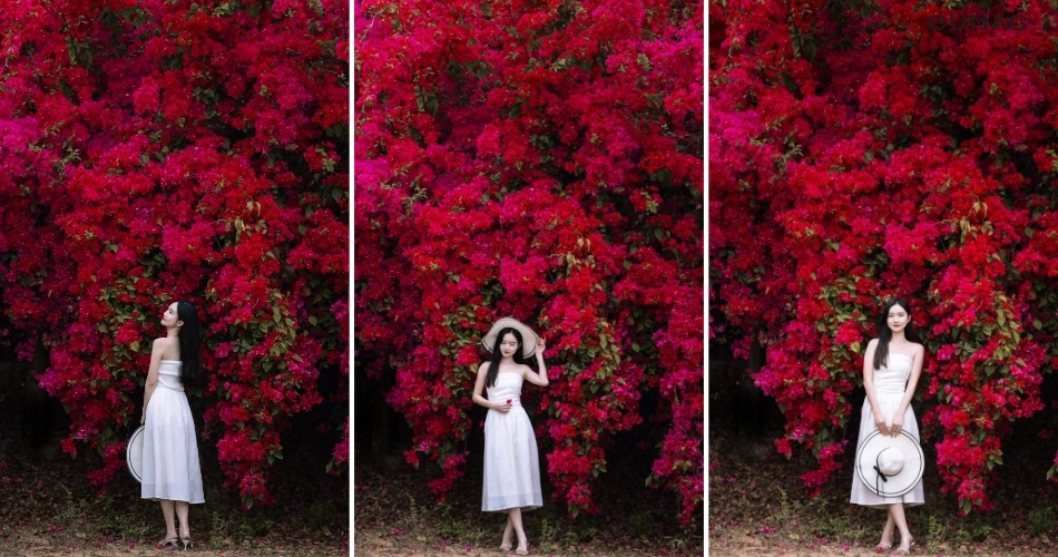 nhung con duong chup anh hoa giay dep