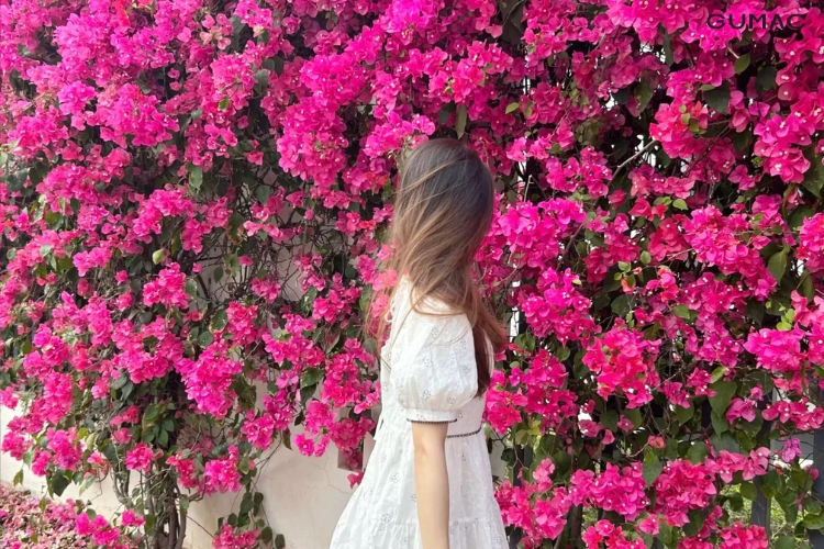 tao dang chup voi hoa giay tu phia sau