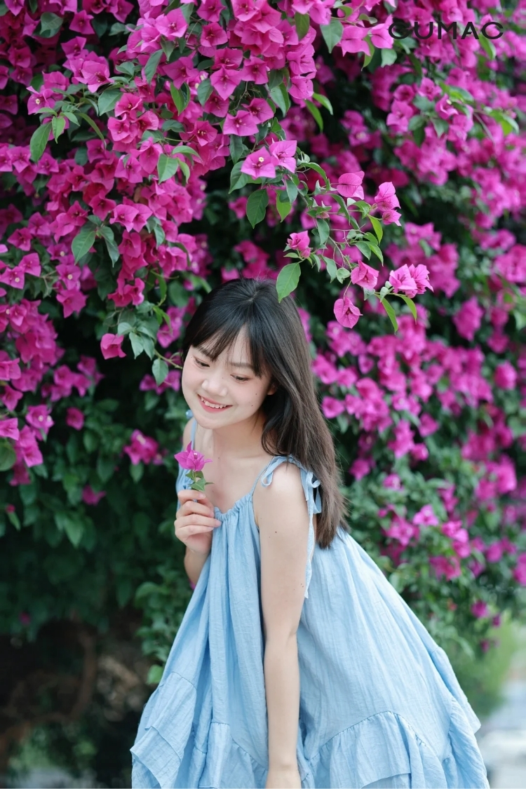 tao dang dang hai hoa giay dep