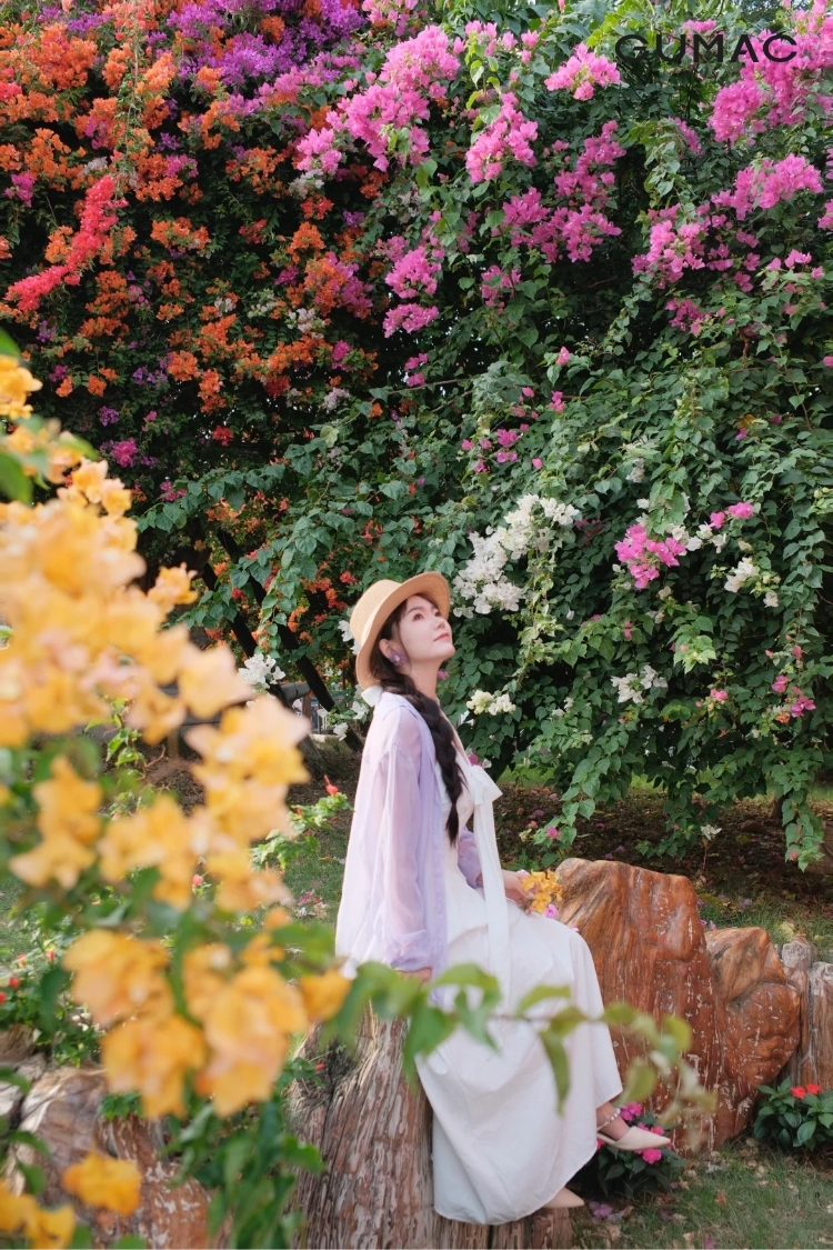 tao dang chup anh ngoi cung hoa giay dep