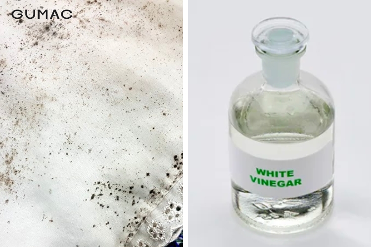 Cách tẩy mốc quần áo màu bằng giấm trắng