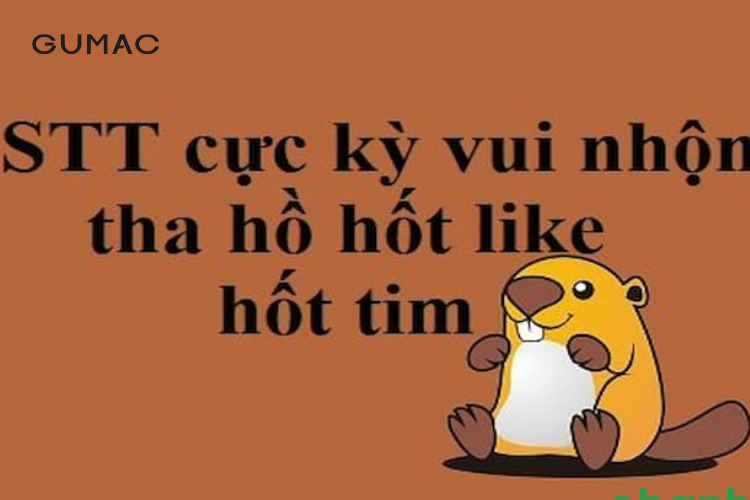 1999 Hình Ảnh Meme Hài Hước Cute Lầy Bựa TẤU HỀ CỰC MẠNH