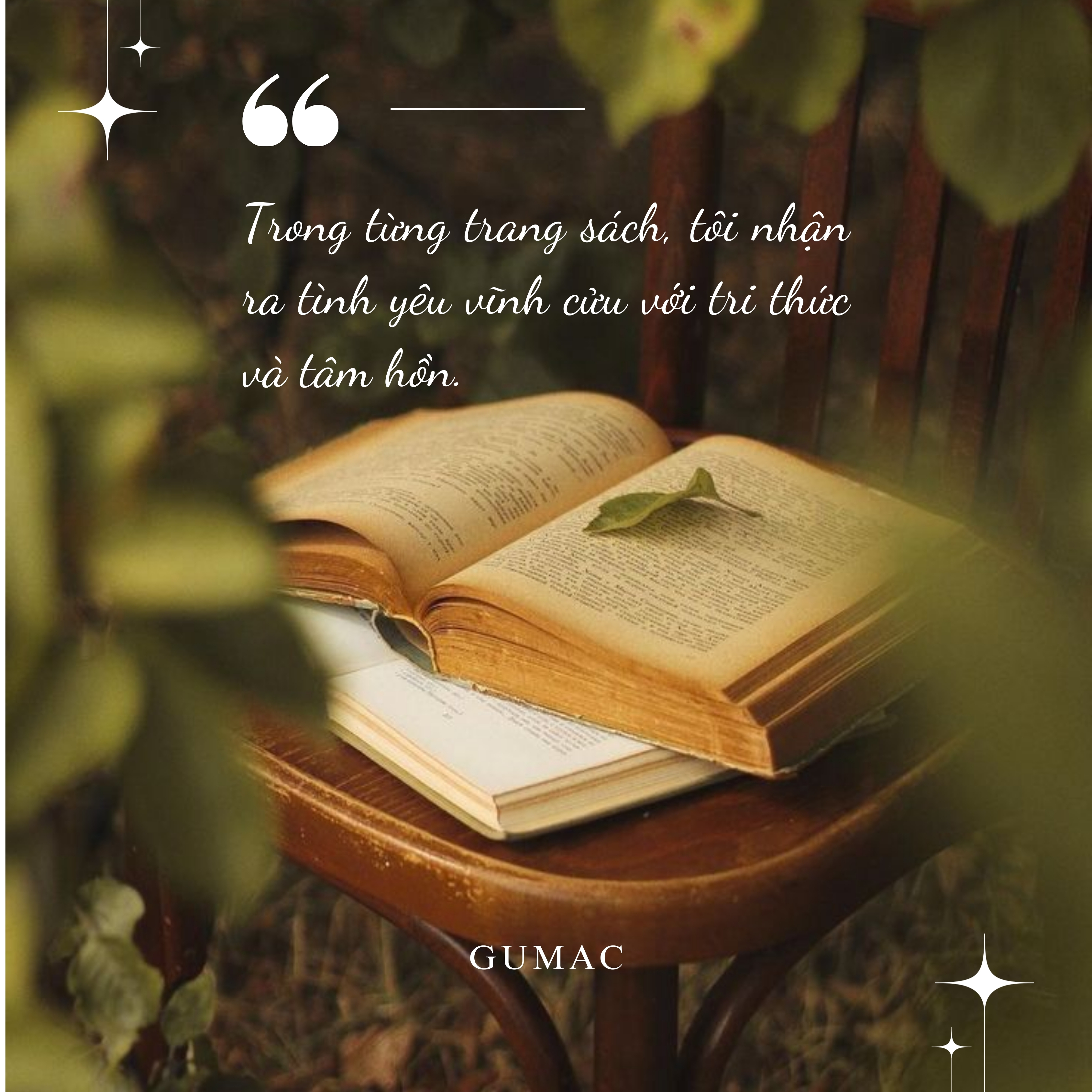 nhung cau noi hay ve sach va van hoa doc sach cua nguoi yeu sach