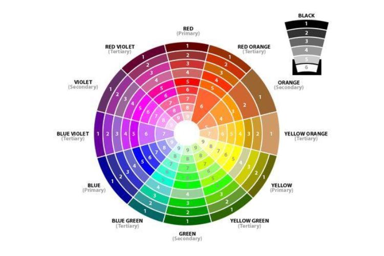 Quy tắc chọn màu phù hợp với quần áo