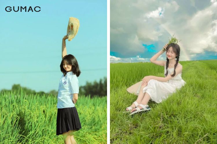 Khoảng thời gian phù hợp để chụp hình cây lúa