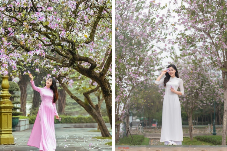 Trào lưu chụp ảnh cùng hoa ban