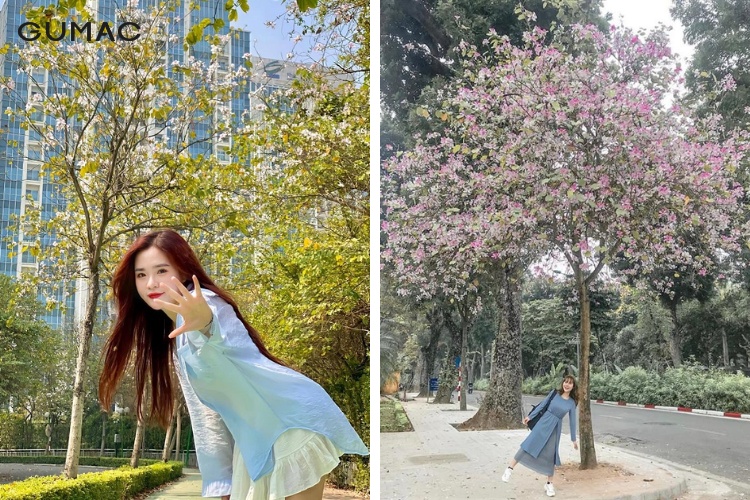 Áo trễ vai cùng chân váy pose dáng với hoa ban