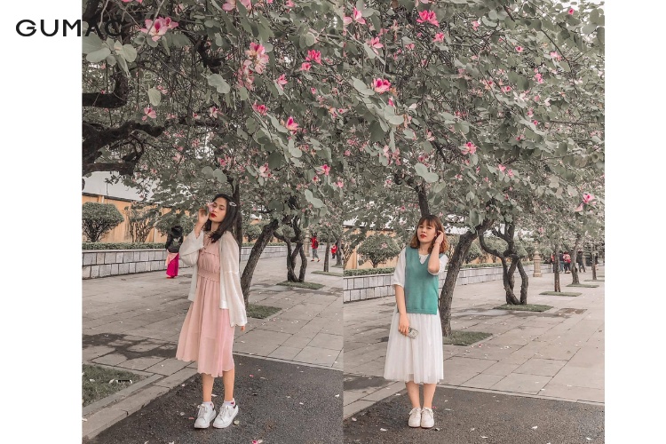 Thời điểm lý tưởng để lên ảnh cùng hoa ban