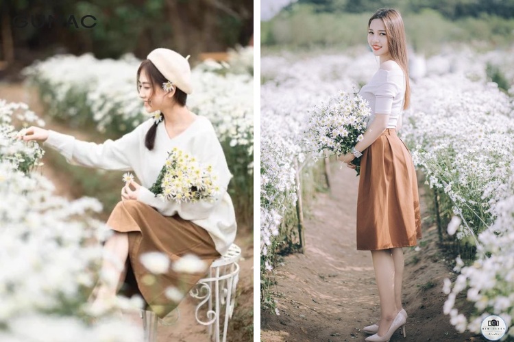 Chụp Ảnh Cúc Họa Mi Concept Váy Trắng thơ mộng | Cộng Studio