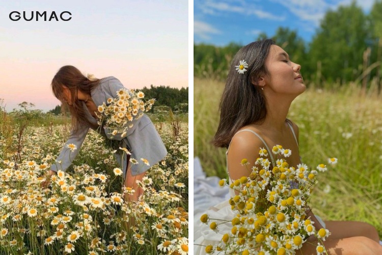 Tổng hợp địa điểm chụp hình cùng cúc họa mi hot hit