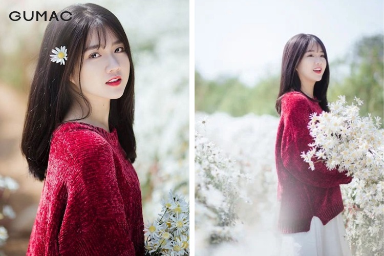 Nổi bật giữa vườn cúc họa mi với màu đỏ cháy bỏng