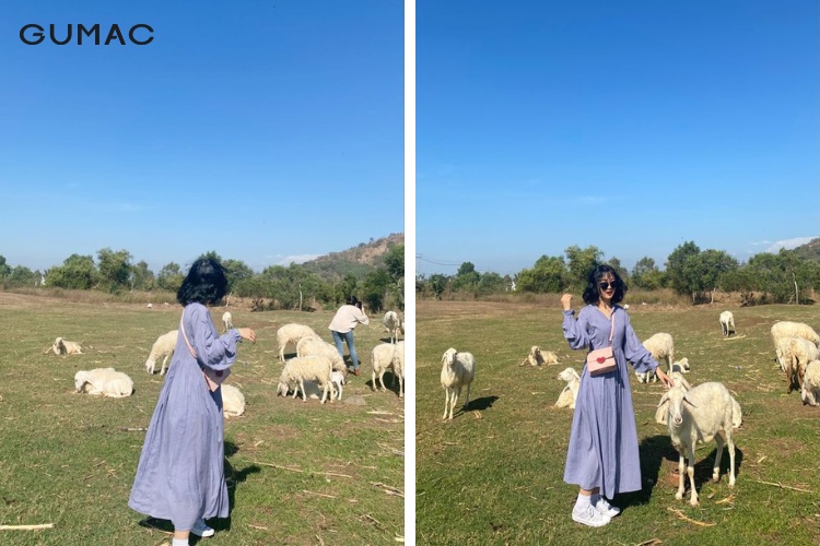 Vật dụng cần thiết khi đi chụp ảnh cùng cừu