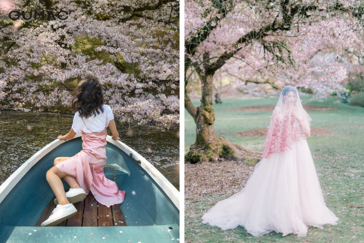 Tim-hieu-thong-tin-hoa-anh-dao-no