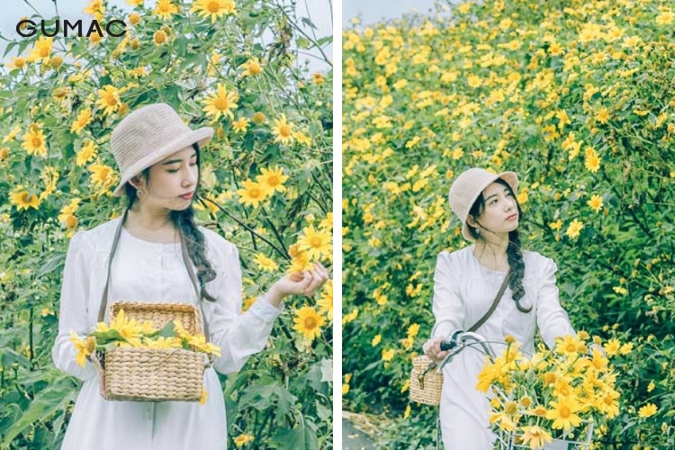 Chụp ảnh với hoa đá