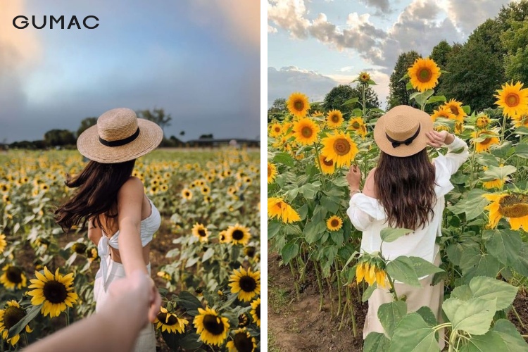 Chụp ảnh với hoa hướng dương mặc gì để TƯƠI TẮN và xinh xắn Chụp Ảnh Với Hoa Hướng Dương Mặc Gì Để Tươi Tắn Và Xinh Xắn