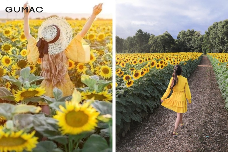 Trang phục màu vàng tỏa nắng như hoa hướng dương
