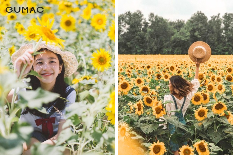 Áo len có họa tiết là sự lựa chọn hoàn hảo