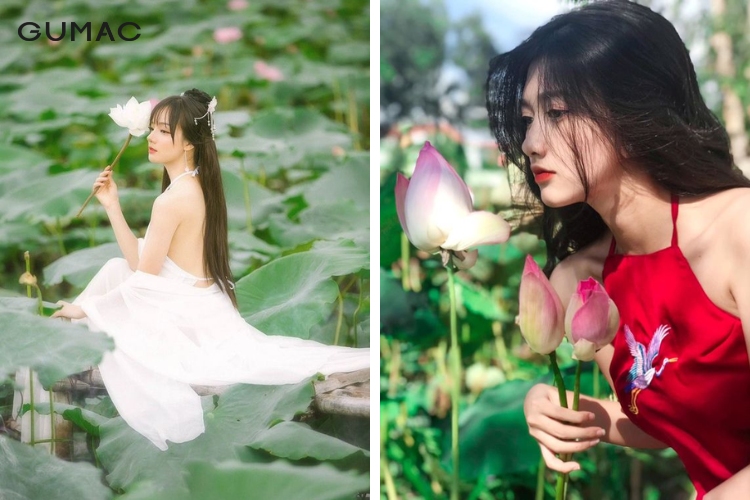 Một số địa điểm chụp ảnh sen đẹp ở Tphcm