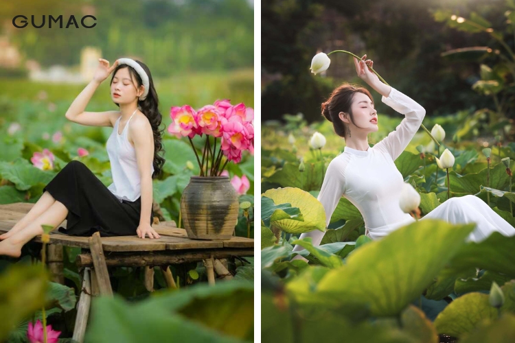 Thời gian để chụp ảnh cùng sen lý tưởng nhất