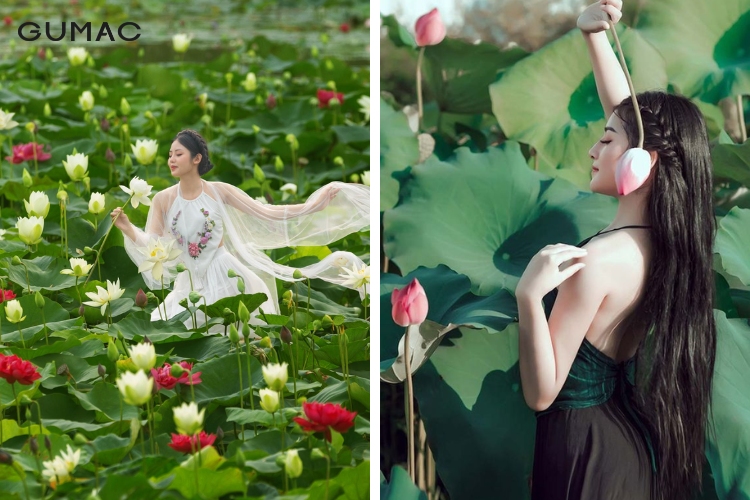 tha dang chup anh dep cung ho sen