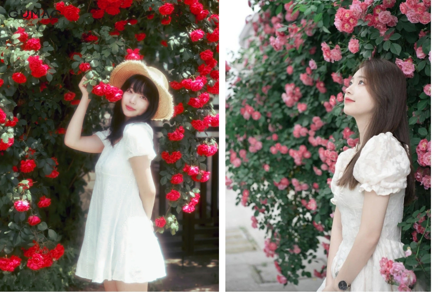 chup anh ngot ngao concept nang tho voi hoa hong