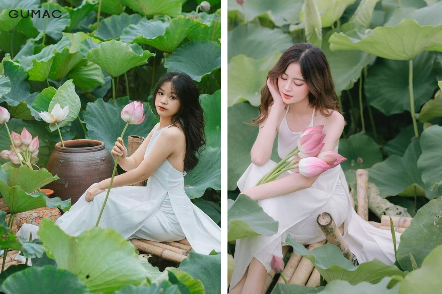 concept chup anh voi hoa sen kieu nang tho